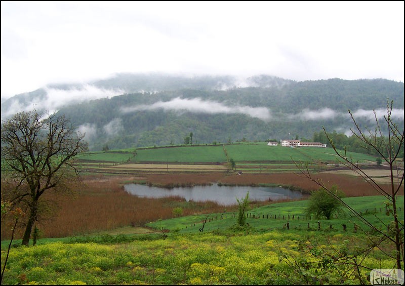 دریاچه استخر پشت شهرستان نکا
